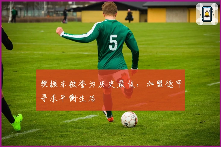 樊振东被誉为历史最佳，加盟德甲寻求平衡生活