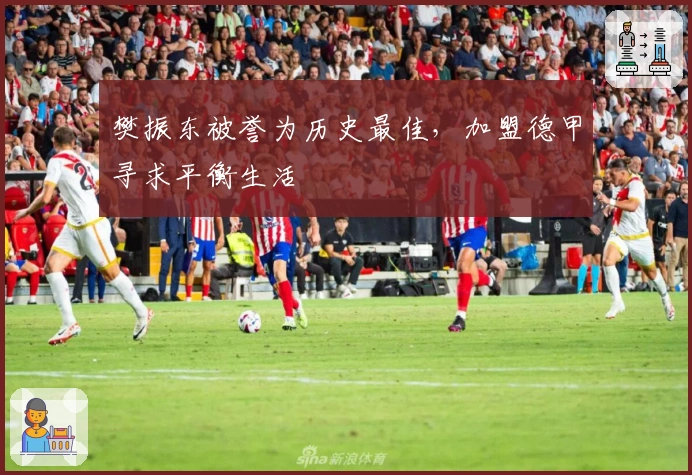 樊振东被誉为历史最佳，加盟德甲寻求平衡生活